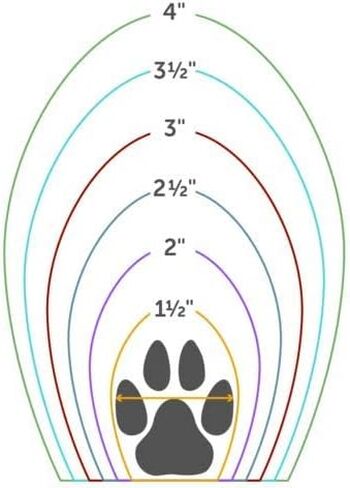 JAWZ Traction Booties Lightweight Floor-Gripping Sharkskin Material for Daily Use Paw Protection (Sold in Pairs) (Medium 2.5'' Paw Width (2 Count)) in Saudi Arabia