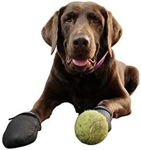 JAWZ Traction Booties Lightweight Floor-Gripping Sharkskin Material for Daily Use Paw Protection (Sold in Pairs) (Medium 2.5'' Paw Width (2 Count)) in Saudi Arabia