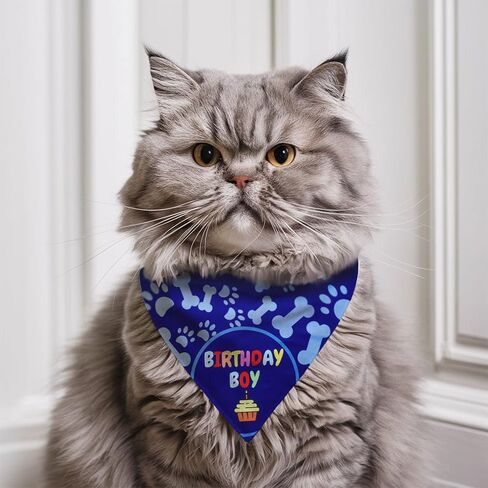 Cat Birthday Decorations - Cat Birthday Hat, Crown and Cat Birthday Bandana Boy, Kitten, Cat Birthday Gift, Outfit, Happy Cat Party Decor, Cat Products, Blue in Saudi Arabia