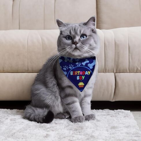 Cat Birthday Decorations - Cat Birthday Hat, Crown and Cat Birthday Bandana Boy, Kitten, Cat Birthday Gift, Outfit, Happy Cat Party Decor, Cat Products, Blue in Saudi Arabia