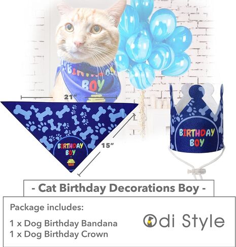 Cat Birthday Decorations - Cat Birthday Hat, Crown and Cat Birthday Bandana Boy, Kitten, Cat Birthday Gift, Outfit, Happy Cat Party Decor, Cat Products, Blue in Saudi Arabia