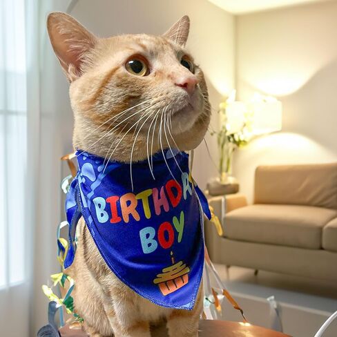 Cat Birthday Decorations - Cat Birthday Hat, Crown and Cat Birthday Bandana Boy, Kitten, Cat Birthday Gift, Outfit, Happy Cat Party Decor, Cat Products, Blue in Saudi Arabia