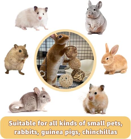 32PCS Guinea Pig Ball, Small Animals Play Balls Chew Grass Balls & Rolling Chew Toys for Bunny, Rabbits, Hamster and Other Small Animals in Saudi Arabia