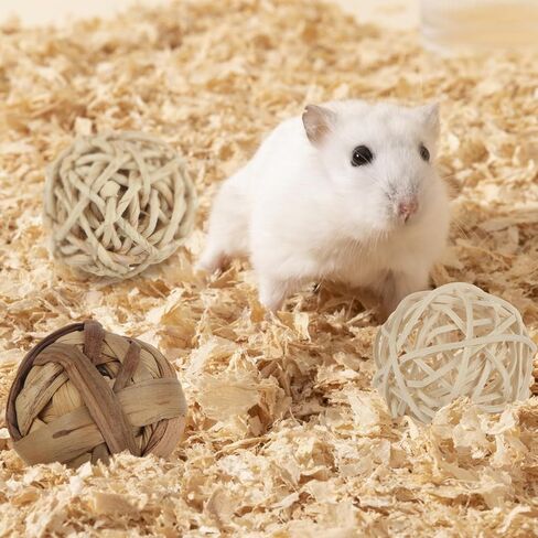 32PCS Guinea Pig Ball, Small Animals Play Balls Chew Grass Balls & Rolling Chew Toys for Bunny, Rabbits, Hamster and Other Small Animals in Saudi Arabia