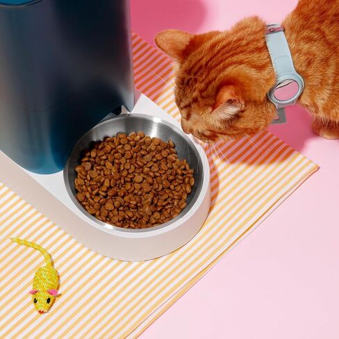 5 Pcs Stainless Steel Cat Bowls 6 Inch Metal Cat Bowls Cat Food Bowl, Metal Cat Dishes Cat Food Bowls for Indoor Cats, Shallow Pet Feeding Bowl Elevated Food Bowls for Cats in Saudi Arabia
