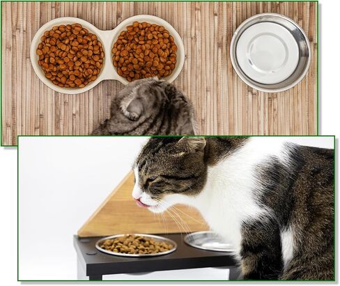5 Pcs Stainless Steel Cat Bowls 6 Inch Metal Cat Bowls Cat Food Bowl, Metal Cat Dishes Cat Food Bowls for Indoor Cats, Shallow Pet Feeding Bowl Elevated Food Bowls for Cats in Saudi Arabia