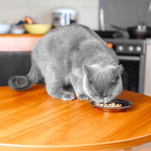 5 Pcs Stainless Steel Cat Bowls 6 Inch Metal Cat Bowls Cat Food Bowl, Metal Cat Dishes Cat Food Bowls for Indoor Cats, Shallow Pet Feeding Bowl Elevated Food Bowls for Cats in Saudi Arabia