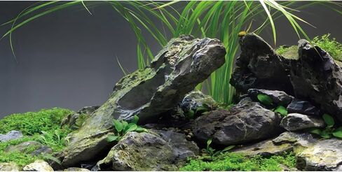 AWERT 48x20 inches Stone Aquarium Background Stone Aquatic Plant River Bed & Lake Seaweed Aquarium Vinyl Background Fish Tank Background in Saudi Arabia