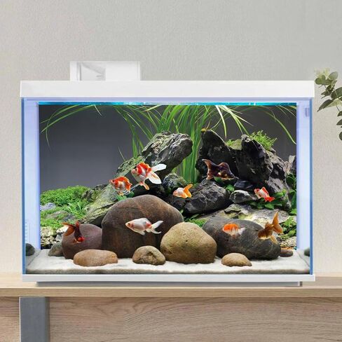 AWERT 48x20 inches Stone Aquarium Background Stone Aquatic Plant River Bed & Lake Seaweed Aquarium Vinyl Background Fish Tank Background in Saudi Arabia