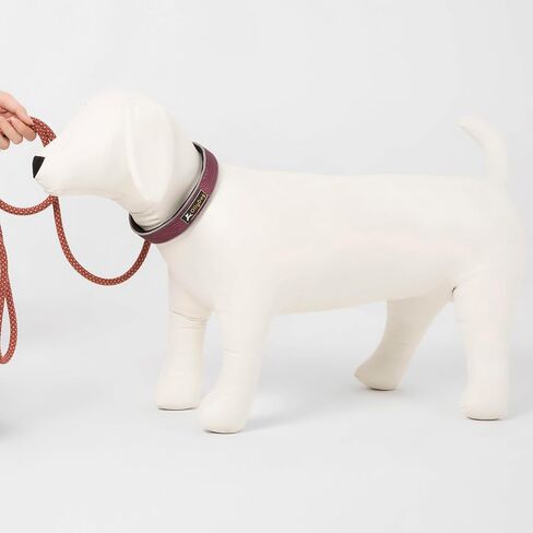 طوق مريح عاكس للضوء من OllyDog Martingale، طوق عاكس للضوء للجري الليلي، مبطن بالنيوبرين الناعم، راحة إضافية للكلاب النشطة (متوسط، خشب الورد) in Saudi Arabia