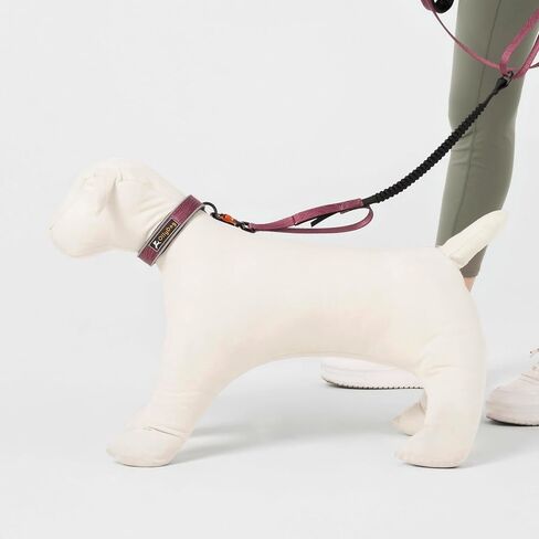 طوق مريح عاكس للضوء من OllyDog Martingale، طوق عاكس للضوء للجري الليلي، مبطن بالنيوبرين الناعم، راحة إضافية للكلاب النشطة (متوسط، خشب الورد) in Saudi Arabia