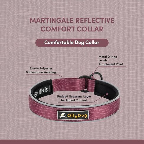 طوق مريح عاكس للضوء من OllyDog Martingale، طوق عاكس للضوء للجري الليلي، مبطن بالنيوبرين الناعم، راحة إضافية للكلاب النشطة (متوسط، خشب الورد) in Saudi Arabia