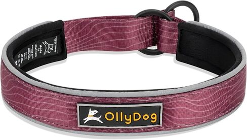 طوق مريح عاكس للضوء من OllyDog Martingale، طوق عاكس للضوء للجري الليلي، مبطن بالنيوبرين الناعم، راحة إضافية للكلاب النشطة (متوسط، خشب الورد) in Saudi Arabia