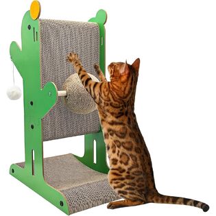 Apatal كتالوج المنتج