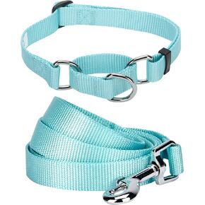Blueberry Pet Essentials Matching Martingale Dog Collar and Leash Set in Mint Blue, Heavy Duty Nylon Adjustable Collars with 5 ft Leash for Medium Dogs