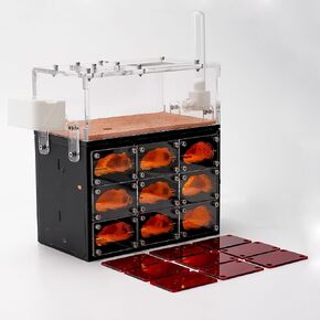 Ant Farm for Live Ants with Inner Lights - Large Viewing Area - Natural Learning Toy - Great Gift