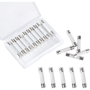 10 Pieces Microwave Fuse Ceramic Tube Fuse 20 Amp 250 V Slow Blow Fuse Time Delay Fuse, Compatible with GE WB27X10388, Kenmore Microwave, 6 x 30mm