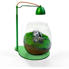 FZONE Micro Landscape System with Ecological Bottle - Moss Micro Landscape Terrarium Set with Full Spectrum LED Freshwater Light, Timer & Adjustable Intensity, Ideal for Home Office Tabletop Deco