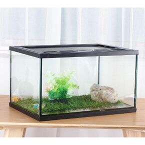 crapelles Frogs Glass Terrarium Feeding kit Tank, Waterproof,for Reptile Amphibians, Insect, Horned Frogs. Waterweed/Prairie Style Habitat,with Green Artificial Turf Pad,Natural volcanic rock
