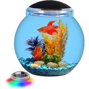 1-Gallon Globe Fish Tank with LED Lighting (7 Color Selections), Impact-Resistant Plastic