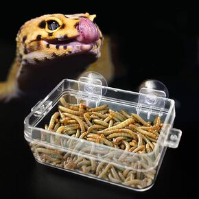 Amphibians Reptiles Anti Escape Feeder Worm Feeding Basin Tortoise Lizard Crawler Food Bowl Suction Cup Feeder for Reptiles Bearded Dragon Accessories Food Cricket Container Gecko