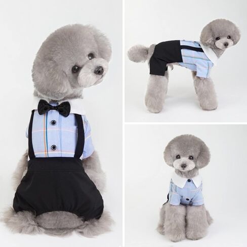Blue Dog Overalls Pet Couples Dress Pant Plaid Puppy T-Shirts Jumpsuit Clothes for Small Medium Dogs Cats for Party Birthday, L in Saudi Arabia