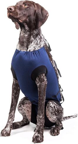 E-Collar Alternative for Cats and Dogs Designed to Protect Abdominal Wounds and Skin Disease. Award Winning and Patented Design Recommended by Veterinarians Worldwide. (Medium, Lime Green) in Saudi Arabia