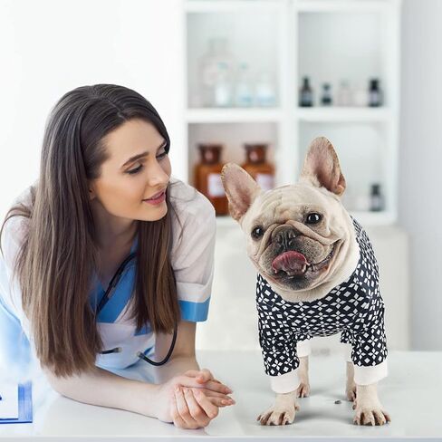 Etdane Dog Recovery Suit After Surgery, Surgical Onesies for Female Male Doggy Pet Long Sleeve Bodysuit Alternative Cone E-Collar S in Saudi Arabia