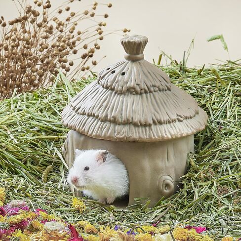 BUCATSTATE Hamster Hideout Ceramic, Tree Stump Shape Hamster Houses and Hideouts for Syrian Hamster Gerbils Mice Small Pets Cage Decor, Nature Themed Hamster Cage Accessories, Stone in Saudi Arabia