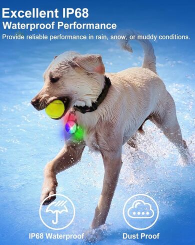 Dog Lights for Night Walking - 2 Pack 4 Modes Dog Collar Light, Rechargeable Dog Walking Light for Nighttime Clip On, IP68 Waterproof Dog Light(Matte Black) in Saudi Arabia