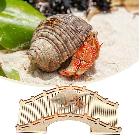 Hermit Crabs Climbing Bridge, Wooden Hermit Crab Climibing Toys, Hermit Crab Hideout with Ramp, Aquarium Tank Accessory Small Animals Cage Accessory, Habitat for Hermit Crab Hamster Rat Reptile in Saudi Arabia
