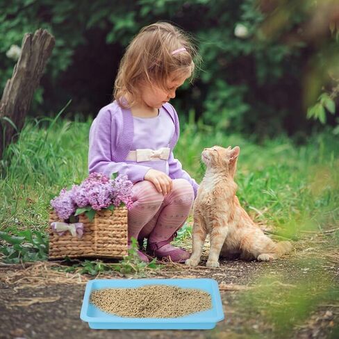 10 Pcs Travel Toilet Mini Litter Box,Plastic Portable Small Litter Pan Water Litter Box for Kittens Bunny Cat in Kuwait