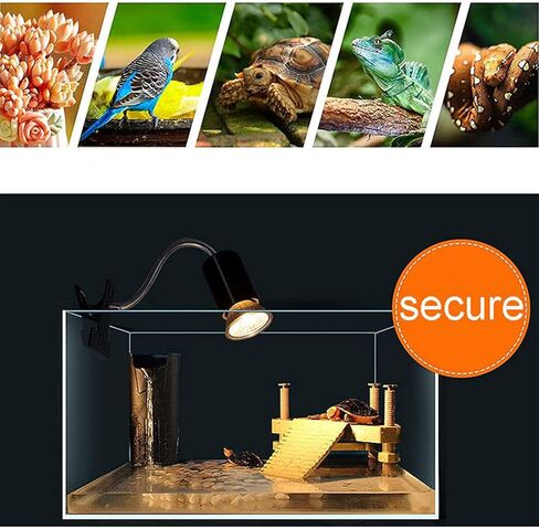 yuehuam مصباح الحرارة الزواحف، مصباح حرارة مزدوج الرأس مع مقاطع، مصباح الحرارة السلحفاة ضوء خزان السلحفاة، ضوء الزواحف UVA UVB مع مؤقت دورة للسلحفاة، التنين الملتحي، السحلية وأكثر من ذلك، 2 لمبات 50 + 50 واط in Kuwait