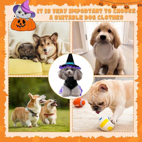 Halloween Dog Costumes Witch Outfits: Dogs Cat Witch Dress Costumes with Magic Hat - Pet Halloween Cosplay Hoodie Funny Outfits Clothes for small medium Puppy Dogs (Medium) in Saudi Arabia