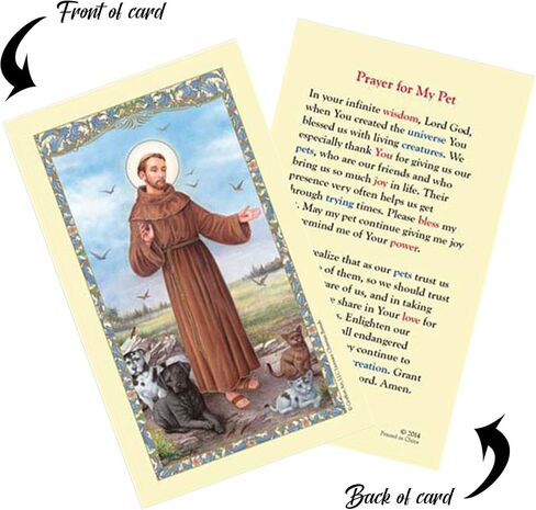 St Francis Medal for Pets - St Francis Tag for Dogs and Cats with St Francis Of Assisi Prayer Card, Lords Prayer Card | Patron Saint Of Animals St Francis Pet Charm, Holy Cards Set of 3 Items in Saudi Arabia