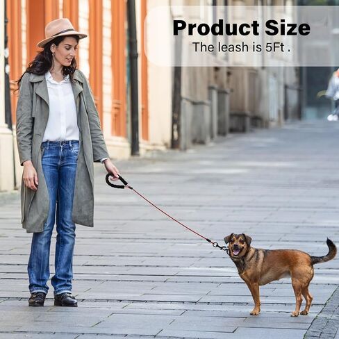 مقود كلب مقاوم للصدأ مقاوم للمضغ وماء من الفولاذ المقاوم للصدأ مع خطافات للكلاب المتوسطة والصغيرة بطول 6 أقدام من سبائك الأسلاك للتخييم مع مقبض ناعم (شفاف بطول 6 أقدام) in Kuwait