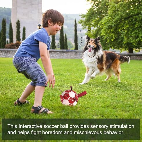Dog Toys Soccer Ball with Straps, World Cup Interactive Toys for Tug of War, Dog Water Toys, Puppy Birthday Gifts for Medium & Large Dogs (2025 New, 8 Inch) in Saudi Arabia