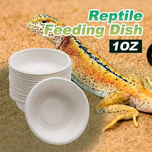100 Pack Paper Feeding Cups Biodegradable Crested Gecko Food Cups 1oz Reptile Feeding Dish Bowls for Gecko Crested in Saudi Arabia