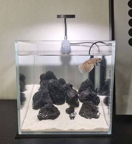 AWXZOM Small Nano Tall Rimless Tank, Glass Fish Tank, Betta Tank (0.7 Gallon, 5.9x4.3x5.1in/15x11x13cm) in Kuwait