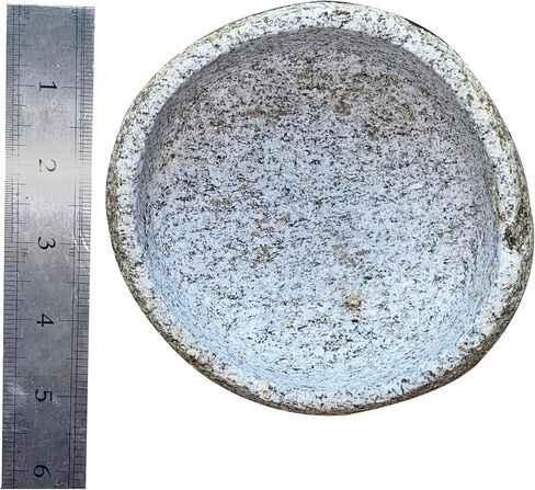 وعاء تررم لتغذية الزواحف مصنوع من الحجر الحقيقي. مقاس 5-6 بوصات ثقيل وقوي، وسهل التنظيف، ومصنوع يدويًا في فيتنام in Kuwait