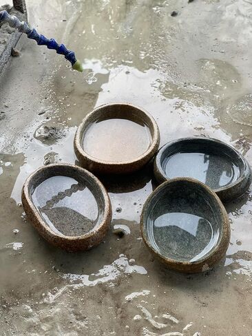 وعاء تررم لتغذية الزواحف مصنوع من الحجر الحقيقي. مقاس 5-6 بوصات ثقيل وقوي، وسهل التنظيف، ومصنوع يدويًا في فيتنام in Kuwait