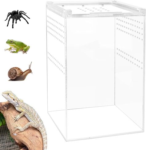 【No Assembly】Smartang Jumping Spider Enclosure with Magnetic Button,6*6*9" Thickened Tarantula Reptile Enclosure，One-piece Acrylic Reptile Terrariums for Praying Mantis,Tarantula,Isopod Enclosure in Saudi Arabia
