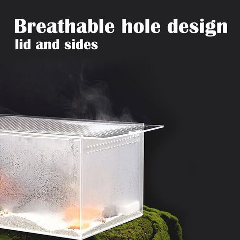 【No Assembly】Smartang Jumping Spider Enclosure with Magnetic Button,6*6*9" Thickened Tarantula Reptile Enclosure，One-piece Acrylic Reptile Terrariums for Praying Mantis,Tarantula,Isopod Enclosure in Saudi Arabia