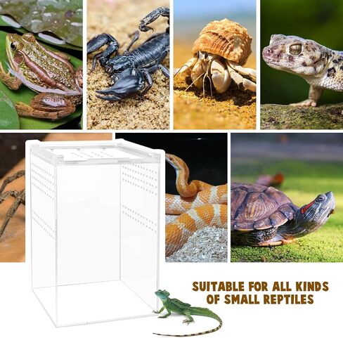【No Assembly】Smartang Jumping Spider Enclosure with Magnetic Button,6*6*9" Thickened Tarantula Reptile Enclosure，One-piece Acrylic Reptile Terrariums for Praying Mantis,Tarantula,Isopod Enclosure in Saudi Arabia