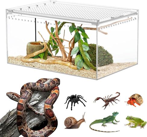 【No Assembly】Smartang Jumping Spider Enclosure with Magnetic Button,6*6*9" Thickened Tarantula Reptile Enclosure，One-piece Acrylic Reptile Terrariums for Praying Mantis,Tarantula,Isopod Enclosure in Saudi Arabia