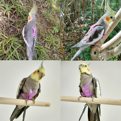 Bird Harness with Buckle Clip and A Leash Rope,Easy to Wear Outdoor Flying Kit for Bird Parrots Cockatiel S Size Weight 85-105 Grams,Blue in Saudi Arabia