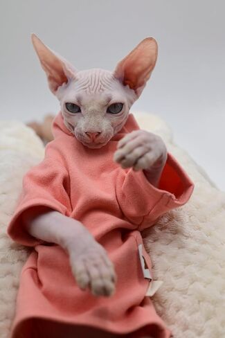 Sphynx Cat Clothes Warm Comfort Stretch Hairless Cat Clothes for Devon Rex, Cornish,Peterbald and Small Cats and Dogs (X-Small) in Saudi Arabia