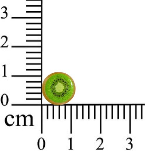 Hypoallergenic Cute Fruit Stud Earrings on Plastic Posts (lemon) in Saudi Arabia