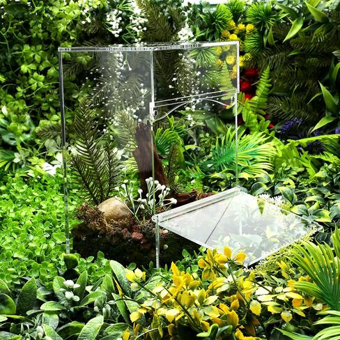 Jumping Spider Enclosure Front Opening Insect Snail Tree Frog Terrarium 7.8x5.3x10 Reptile Enclosure Reptile Enclosure Micro Habitat in Kuwait