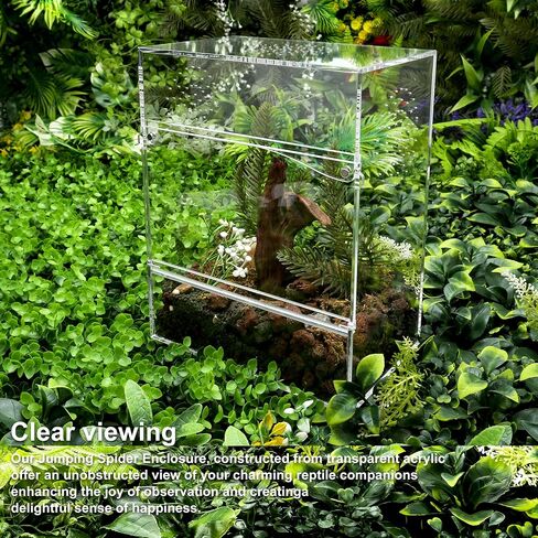 Jumping Spider Enclosure Front Opening Insect Snail Tree Frog Terrarium 7.8x5.3x10 Reptile Enclosure Reptile Enclosure Micro Habitat in Kuwait